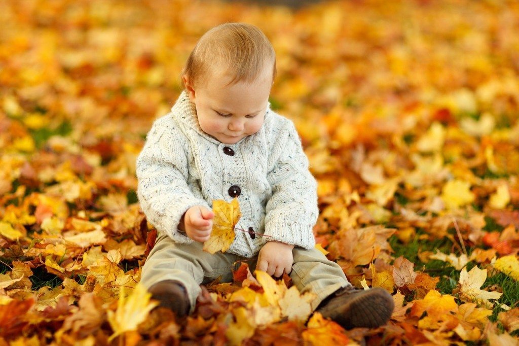 3 fun ways to use autumn leaves