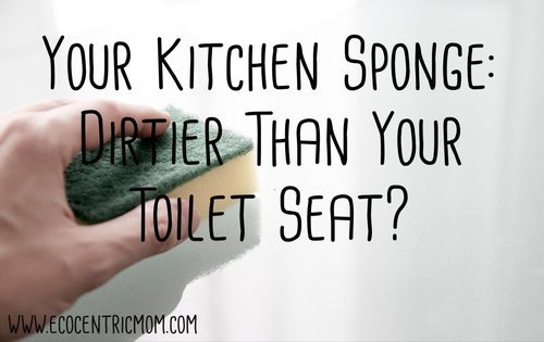 Your Kitchen Sponge – Dirtier Than Your Toilet Seat?