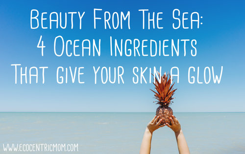 Beauty From the Sea: 4 Ocean Ingredients That Give Your Skin A Glow