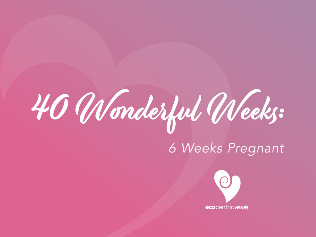 40 Wonderful Weeks: 6 Weeks Pregnant