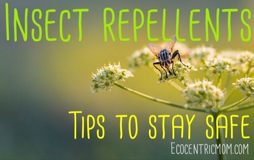 Insect Repellants Tips to Stay Safe