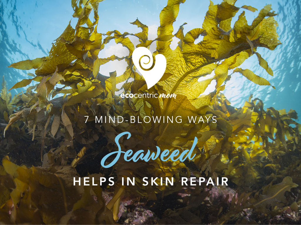 7 Mind-blowing Ways Seaweed Helps In Skin Repair