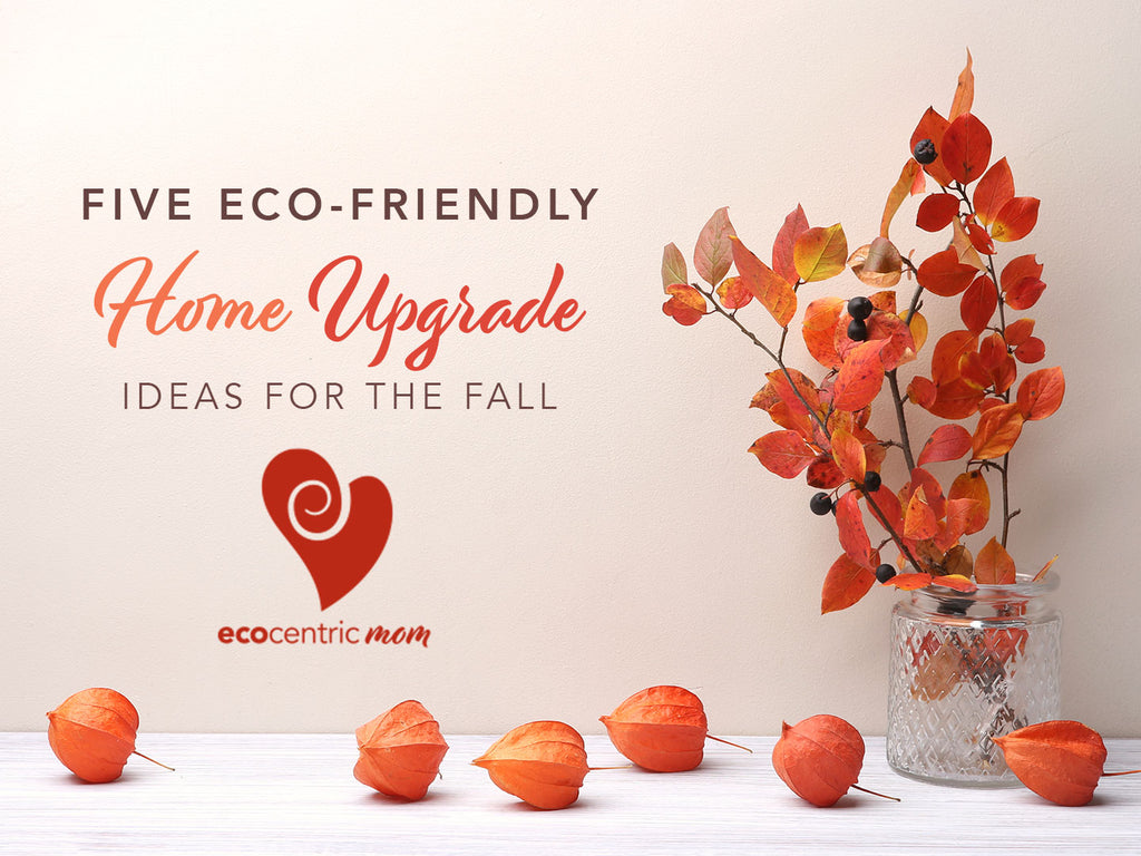 5 Eco-Friendly Home Upgrade Ideas for the Fall