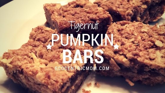 Pumpkin Bar Recipe with TigerNuts