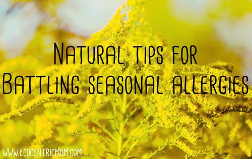 Natural Tips for Battling Seasonal Allergies