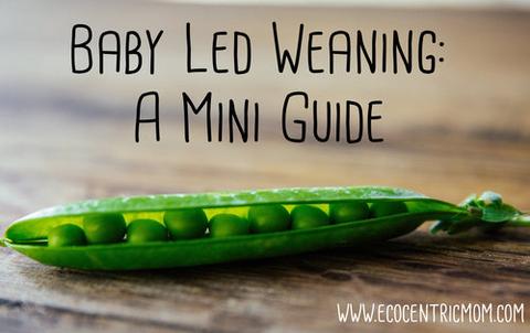 Baby Led Weaning: A Mini Guide