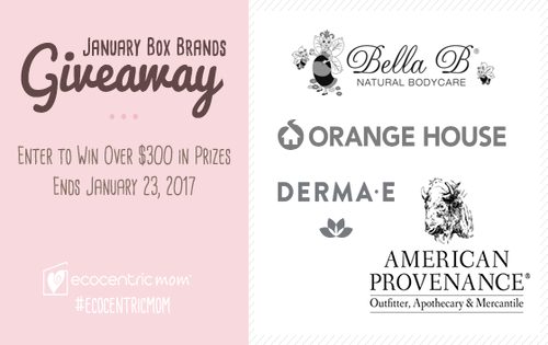 January Box Brands Giveaway – Over $300 in Prizes!